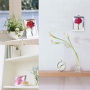 ��̓��̃v���[���g�ɓY���āI���L���F���̃C���e���A�B�J�I���A�[�g�O���C�V���X�t�����[�M�t�g