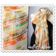 �L����� �C�[�G��