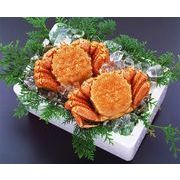 �k�C�����Θp�Y�{�C���уK�j2���i40�j�y����s�z