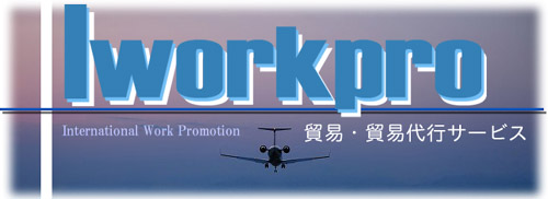 Iworkpro �L�����