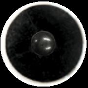 ���ق̓d�ʍ��ƃ`�^���p���[�ŃR��������NEW�@�C�I�T���r�@BLACK �@�T��+�T�T��