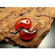 �����T�C�Y����1��120�~��11-18mm�쁚���J�[�l���A�����ʁ@�V�R�΁�
