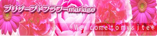 �l���Ǝ� mariage