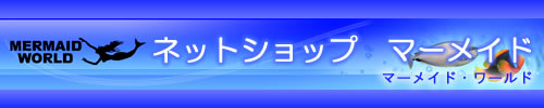 �L����� �}�[���C�h�E���[���h