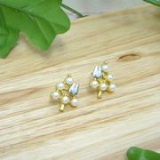 �Ԏ����i�I�����A�N�Z�T���[�I�u���[�o�^�t���C�@�s�A�X�A�N�Z�T���[ ACCESSORY