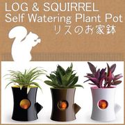 �V���v���f�U�C���@�|�b�v�ŃL���[�g�ȃ��X�̐A�ؔ��B�f�U�C�����ǂ��A�������⌺�ւɍœK�ł��B