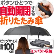 ワンプッシュでパッと開閉 頑丈な耐風仕様 100cmビッグサイズ 売れ筋  自動開閉 折りたたみ傘