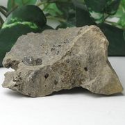 【天然石 パワーストーン】ハーキマーダイヤモンド（ハーキマー水晶）母岩付242g