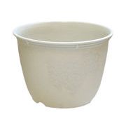 ビオラデコ8号 ホワイト