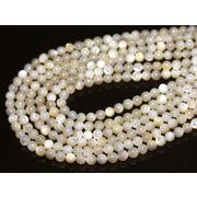 【丸ビーズ】真珠貝 6mm