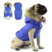 新しい冬のタートルネックの犬の服、テディの小型犬のペットの服装
