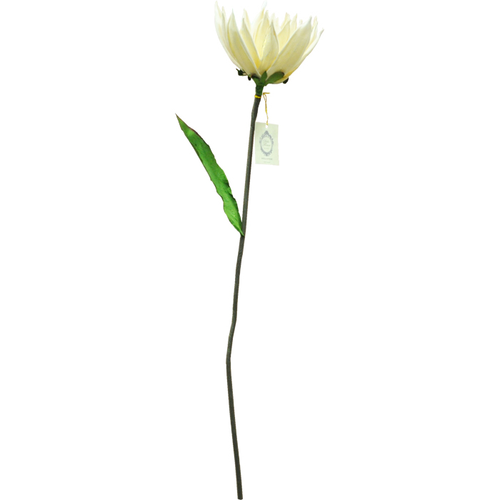 Sola Flower Stem ソラフラワーステム Water Lily ウォーターリリー 美容 健康 株式会社 三和セレクト 三和トレーディング子会社 問屋 仕入れ 卸 卸売の専門 仕入れならnetsea