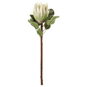 MAGIQ　キングプロテア　ホワイト　アーティフィシャルフラワー　造花　トロピカルフラワー