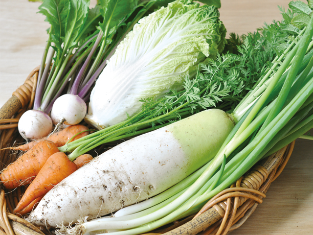 一本でもにんじん 野菜栽培キット Gd 392 雑貨 株式会社 センター商事 問屋 仕入れ 卸 卸売の専門 仕入れならnetsea