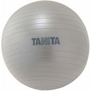 タニタ(TANITA) 〈運動具〉ジムボール TS-962-SV(シルバー)