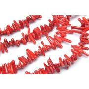 レッドコーラル（赤珊瑚） チップ（ミニタンブル）　2x12mm　１連（約３８ｃｍ）_R1957/A8-2