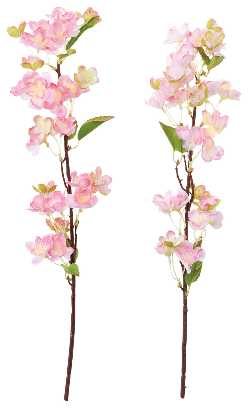 MNK：八重桜