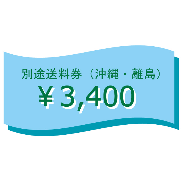 （10995）別途送料券（沖縄、離島）３４００円