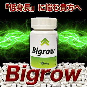 Bigrow(ビッグロウ)2025.09