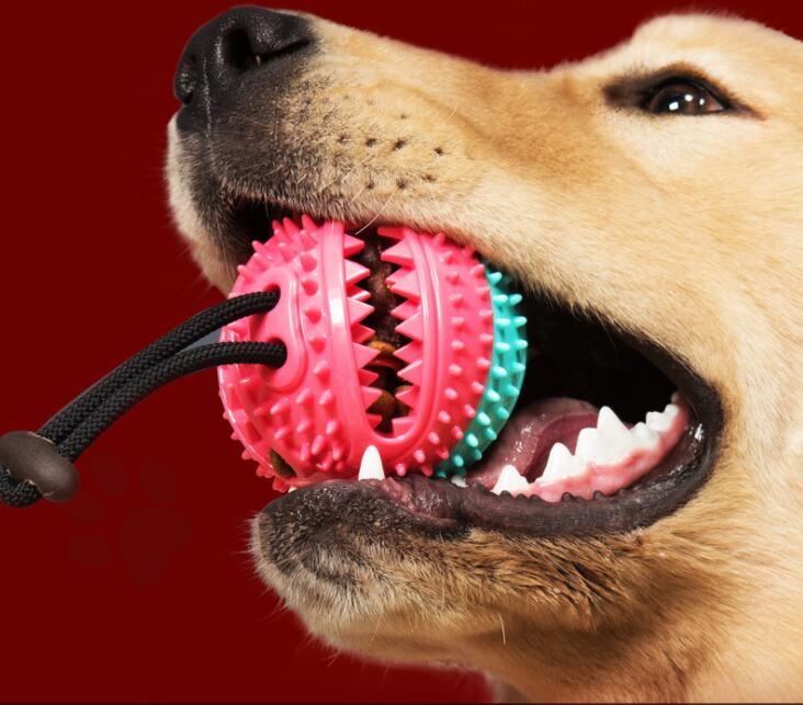 犬噛むおもちゃ★  犬用  玩具ボール★   知育玩具 餌入れ 　おやつボール ペット用品
