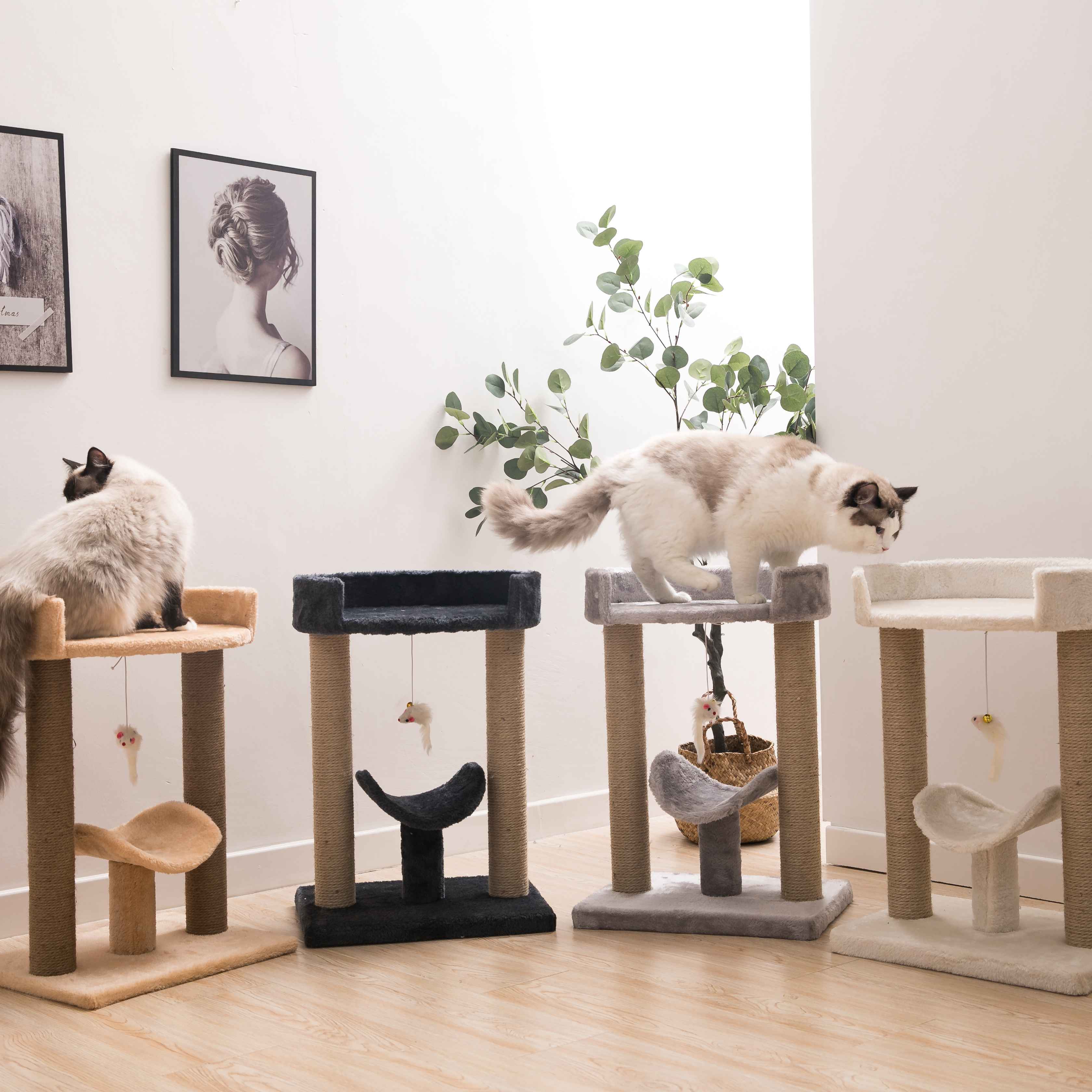 キャットタワー 猫タワー 据え置きタイプ かわいい 小型 ペット用品 爪とぎ おもちゃ 猫ベッド Tx 269 雑貨 Allife家具インテリア館 問屋 仕入れ 卸 卸売の専門 仕入れならnetsea