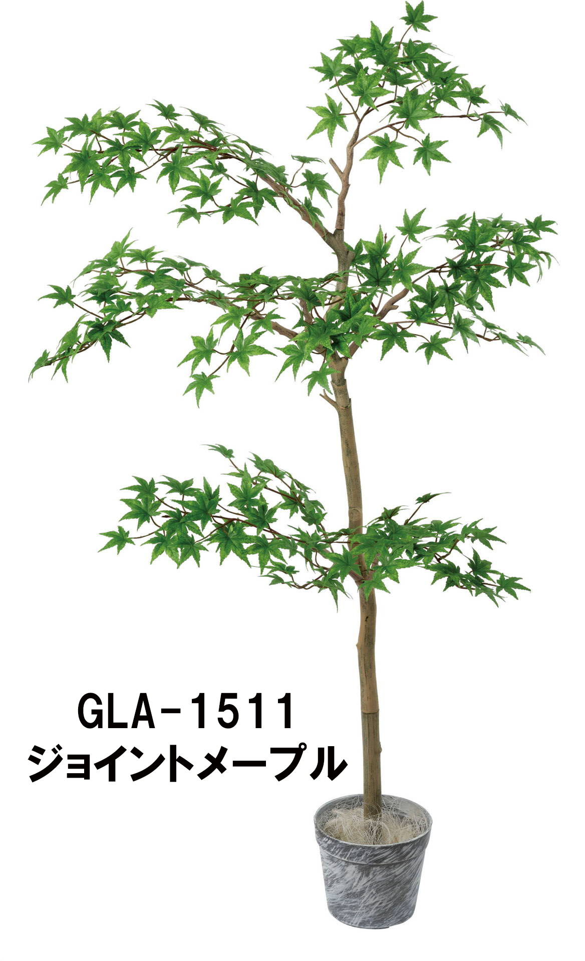 ジョイントメープルツリーセット　5種類