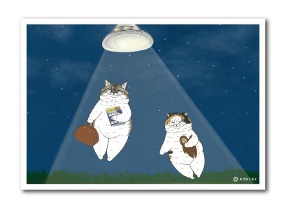世にも不思議な猫世界 L版絹目生写真 いざ宇宙へ RAW011 KORIRI グッズ 猫 イラスト