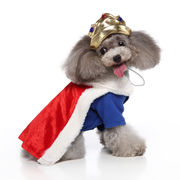 秋冬新作 ペット用品 犬服 ドッグウェア ハロウィン 国王 帽子付き 2点セット コスプレ 面白い
