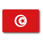 SK367 国旗ステッカー チュニジア TUNISIA 100円国旗 旅行 スーツケース 車 PC スマホ
