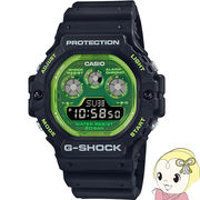 CASIO カシオ 腕時計 G-SHOCK 5900シリーズ DW-5900TS-1JF