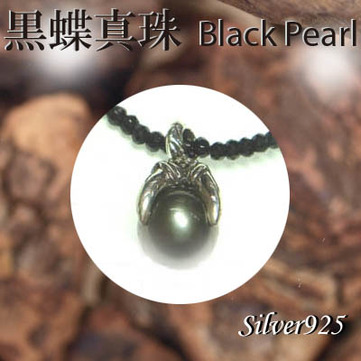ペンダント＆ネック / 44-0372  ◆ Silver925 シルバー 黒蝶真珠 ＆スピネル ネックレス