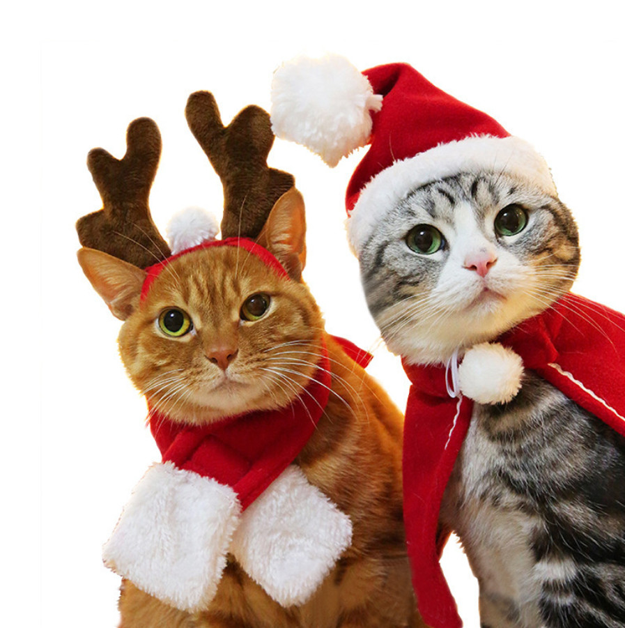 ペット用品 犬用 猫用 ネコ雑貨 帽子 ハロウィン クリスマス かわいい 面白い コスプレ マフラー マント