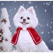秋冬新作 小型犬服★超可愛いペット服★犬服★猫服★犬用★ペット用品★ネコ雑貨 クリスマス