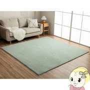 ホットカーペット 正方形 イケヒコ ラグマット カーペット 絨毯 床暖房対応  ピスタチオグリーン IKE-3