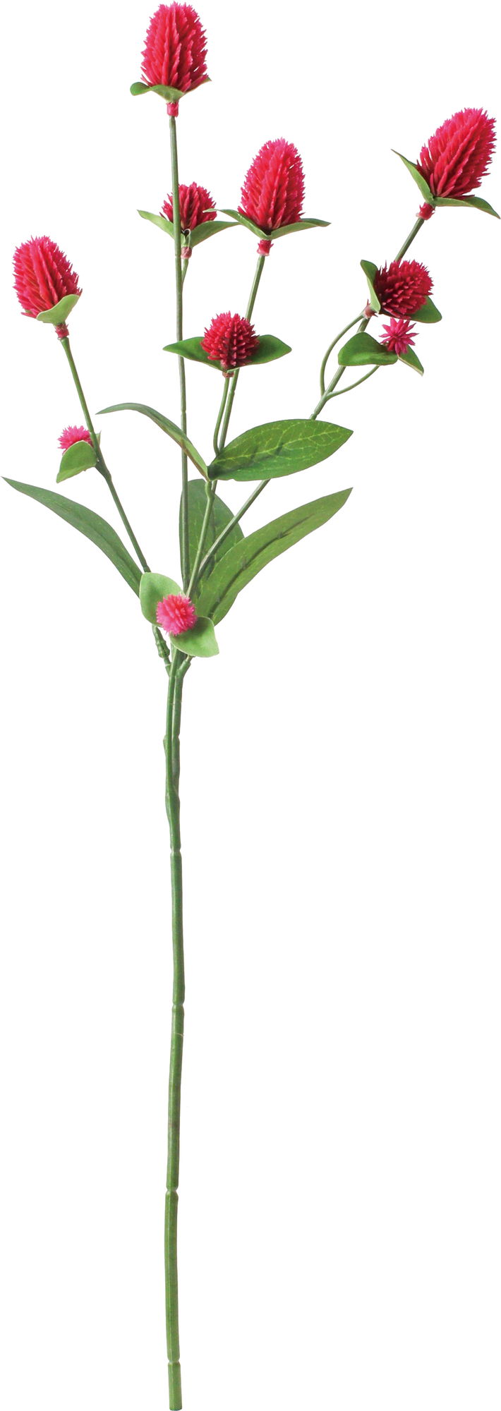 【造花】センニチコウ　ビューティー　ＦＡ－７３８３ＢＴＹ