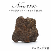【 一点物 】 NWA2965 隕石 アルジェリア産 エンスタタイトコンドライト コンドライト 原石