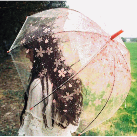 ビニール傘  さくら 梅雨対策 長傘 透明傘