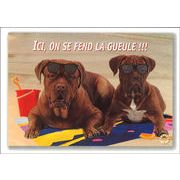 ポストカード サマーカード「2匹のサングラスの犬」カラ―写真 海 ビーチ 暑中見舞い