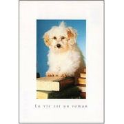ポストカード カラー写真 眼鏡をかけた犬と本