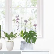 ウィンドウステッカーM（ステッカータイプ）「アナベル」窓ガラス 透明シート 花 植物