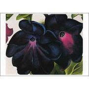 ポストカード アート オキーフ「黒と紫のペチュニア」名画 郵便はがき