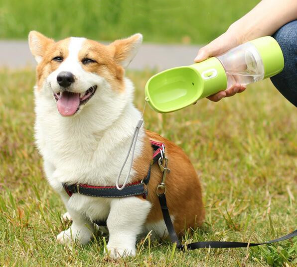 ペット用品　ペットカップ　透明カップ 携帯用カップ 猫犬 水飲みカップ 給餌カップ 給餌 ペット用品