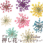 デコパーツ【44. 押し花 レースフラワー】 小さい 小さめ 小花 レジン ネイル 花材 素材 ハンドメイド