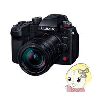 パナソニック  ミラーレスデジタル一眼カメラ LUMIX DC-GH6L 標準ズームレンズキット