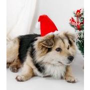 ペット　帽子　クリスマス　アクセサリー　犬 帽子　ペット用品　猫 帽子　犬猫兼用