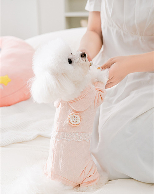 韓国　新作　 犬服　ペット 服　ペット　犬 服　猫服　ペット用品　ネコ雑貨　犬 ベッド　
