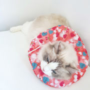 ★超可愛い ペット用品エリザベスカラー 犬猫保護首輪 軽量 傷口保護 傷舐め防止 ペット介護用品
