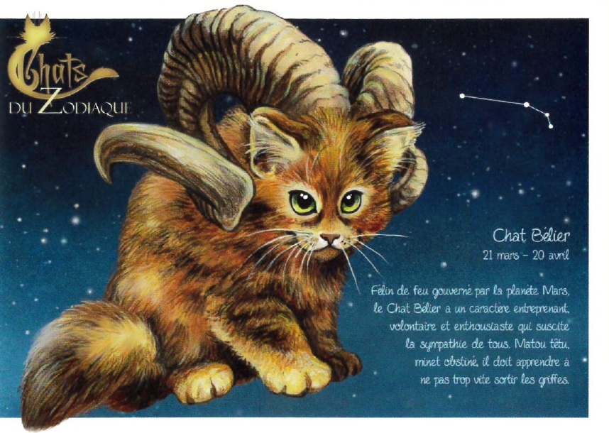 セブリーヌ 【 キャット ポストカード 】 Chat Belier おひつじ座 猫 ネコ はがき