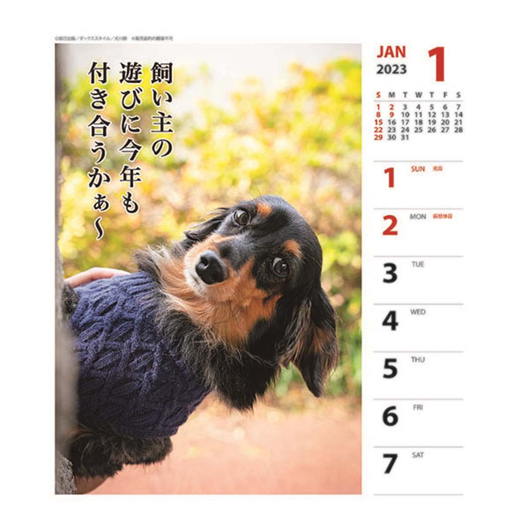 カレンダー ダックス犬川柳 週めくり 壁掛け 卓上カレンダー23年 いぬ 株式会社 ブライエンタープライズ 問屋 仕入れ 卸 卸売の専門 仕入れならnetsea
