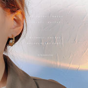 新作 高品質S925 ファッション 高級感 アクセサリー イヤリング レディースファッション ピアス 耳飾り　